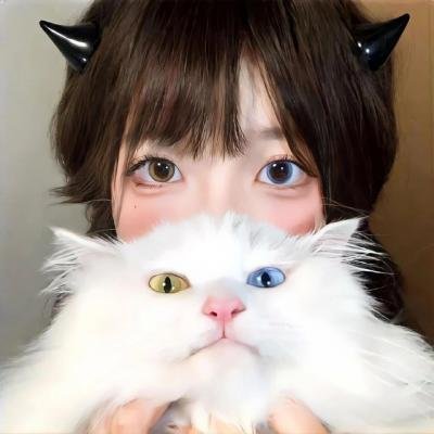 大内密探王二狗